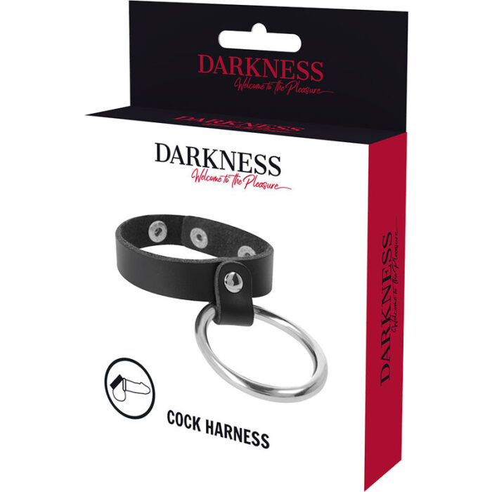 darkness - metal ring for the penis and testicles - Lovex Erootikapood